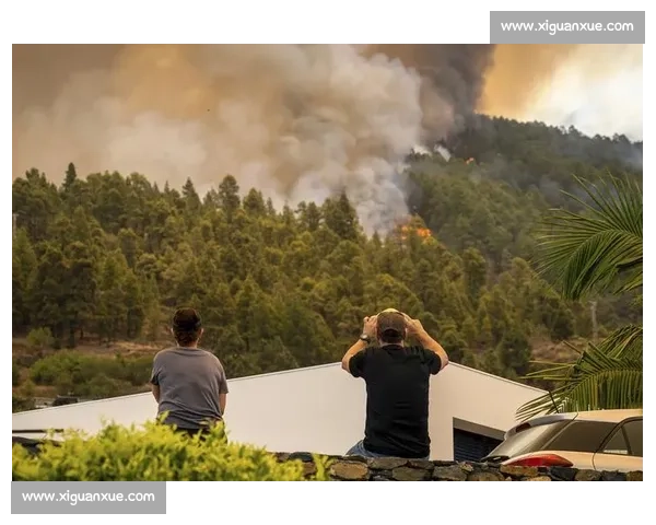 全球多地极端天气频发引发社会经济与环境应对新挑战