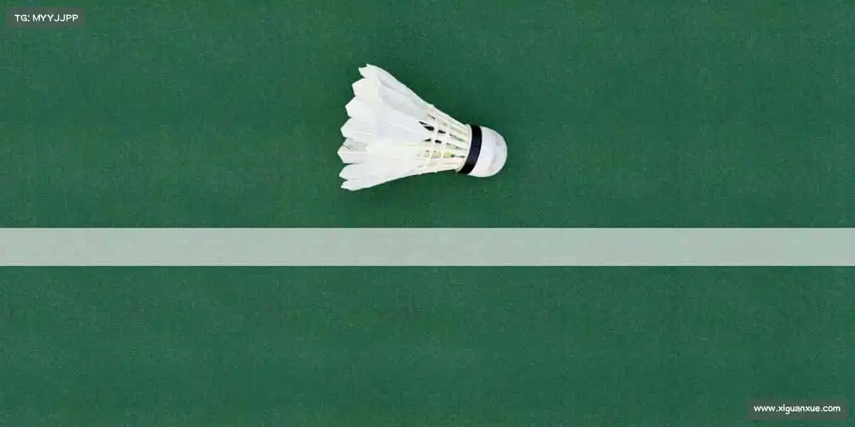 为什么选择我们